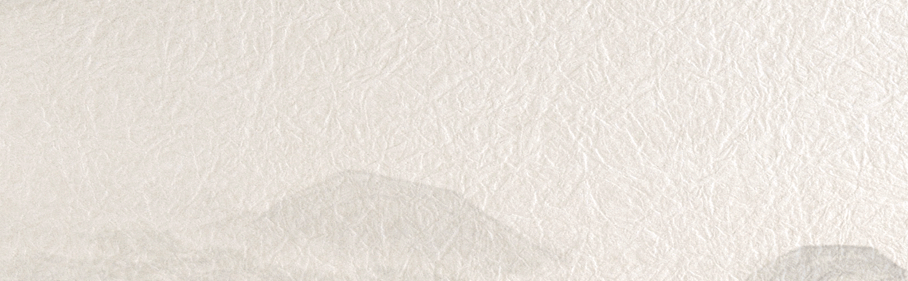 王茜 | “一带一路”倡议下跨境输出就业社会保障制度的体系化完善