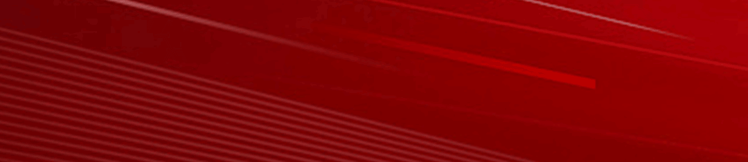 2025 一带一路暨金砖国家技能发展与技术创新大赛中文 + 职业综合技能(普通话)赛项圆满收官