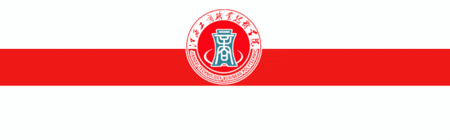 我校学子在2025一带一路暨金砖国家技能发展与技术创新大赛中斩获一等奖