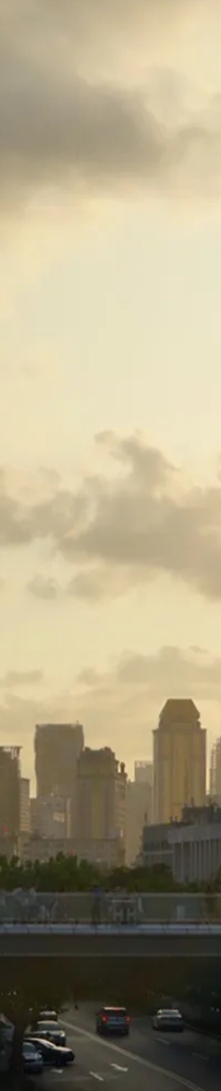 特朗普关税政策调整