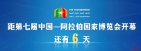 30个国家参展中阿博览会共建“一带一路”国家展区