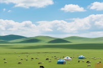 关税战升级:资本流向的确定性与不确定性