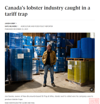 美加钢铁关税争端,致加拿大龙虾捕捞笼成本上涨300%;鱼饵上涨400%!