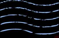 中外教育同仁共话 “一带一路” 教育新篇