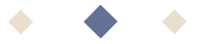 涉外法治赋能“一带一路”  盛夙所集体学习在日本的投资环境及风险防控