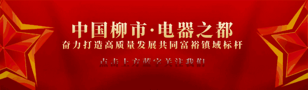 柳市企业“抱团出海”丨共拓“一带一路”中亚产业合作新机遇