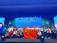 2025一带一路暨金砖国家技能发展与技术创新大赛——技术创新赛(巴西)圆满落幕