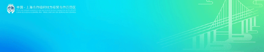 上合工具箱|青岛国际枢纽港:打造“一带一路”国际物流枢纽新标杆