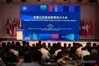 乘风一带一路,擘画东盟新篇——兴化市电热电气行业协会出席东盟江苏商会联盟成立大会,助力会员单位开拓海外新赛道