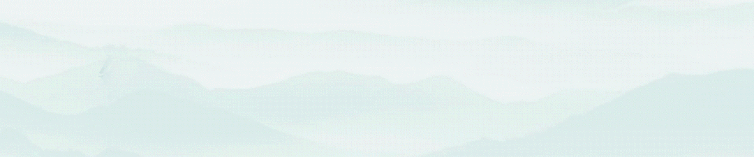 税收服务高质量共建“一带一路”:2024年以来的实践探索与理论研究