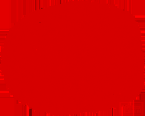 一带繁花一路歌,青春聚彩启新程