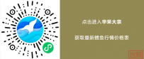 华采市场探查 | 鳕鱼篇——狭鳕鱼关税上调!进口市场或面临多重影响