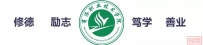 2025一带一路暨金砖国家技能发展与技术创新大赛——第三届校园急救与救护技术赛项决赛在我校开幕