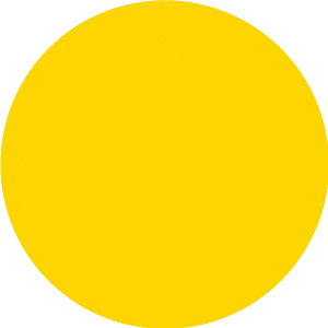 突尼斯放行“个人免关税”自用车进口:年度占比上限10%