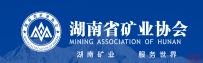 湖南省“一带一路”矿业服务联盟筹备座谈会成功召开 助力矿业企业“走出去”开启新篇章