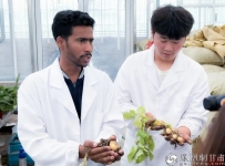 甘肃职教出海育国际人才 智撑共建“一带一路”