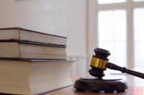 案例 | “一带一路”光伏买卖纠纷案,破解跨境鉴定难题