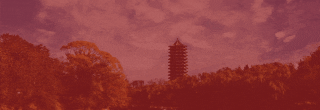 【学术活动】“一带一路”旗舰项目国际传播研讨会成功举办