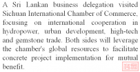 共筑“一带一路”合作新平台——斯里兰卡企业家代表团到访我会共商发展大计