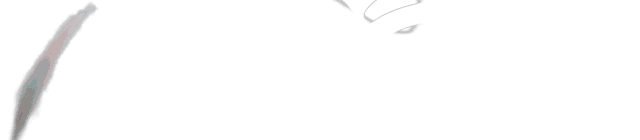 2025年暑期“一带一路”师生专业交流项目圆满落幕