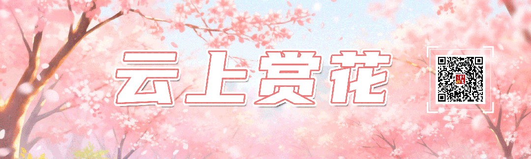 许继“智造”扬帆“一带一路”:服务“一带一路”国家70余个、实施电力装备项目1579个